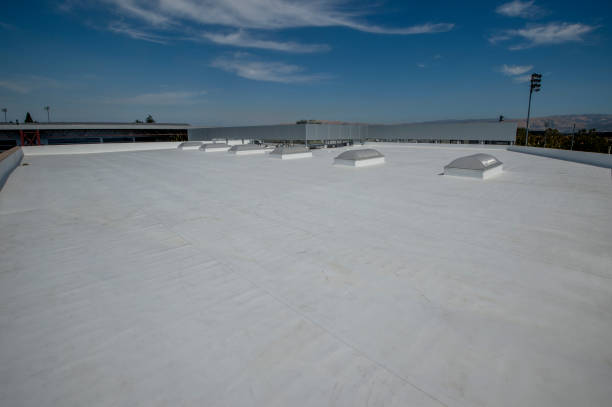 Best Skylight Installation and Repair  in Medical Lake, WA