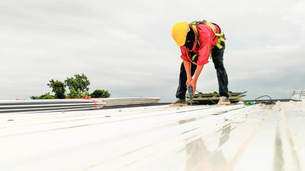 Best Skylight Installation and Repair  in Medical Lake, WA